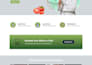 create a professional wordpress business website using elementor in 24 hours